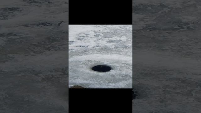 30-11-2024
