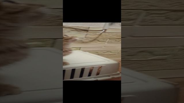 1000055130.mp4