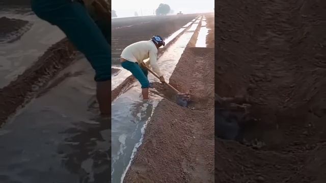 В Индии орошение полей и наполнение грядок водой является настоящим искусством.