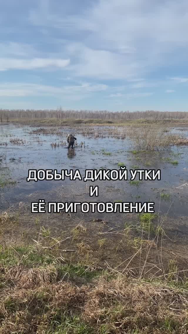 Дикая утка в импровизированной духовке
