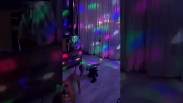 1000122138.mp4