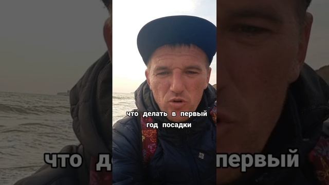 ПОЛИВ В ПЕРВЫЙ ГОД