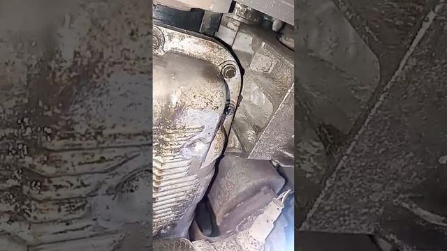 1000001498.mp4