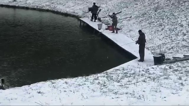 Forest Fishing 30.11