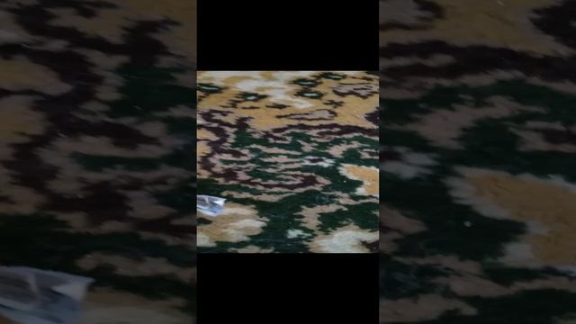 нас приглосили на дискотеку