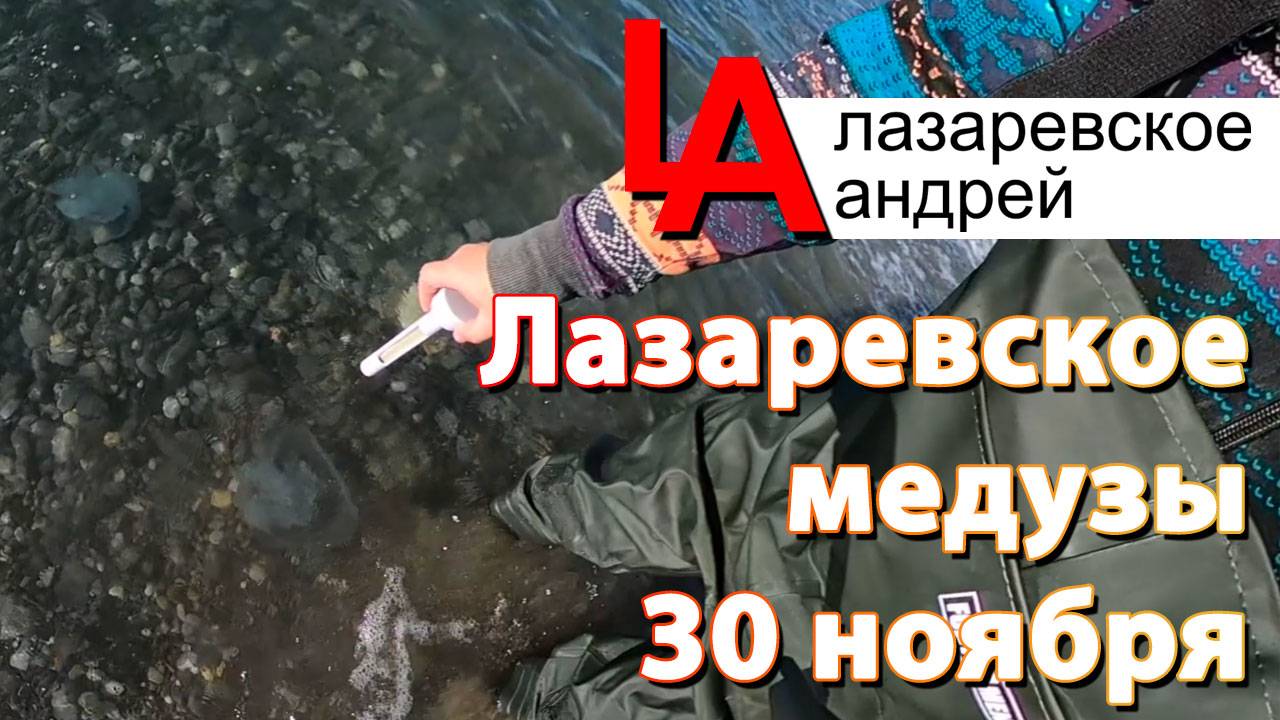 #Лазаревское #медузы #температура #моря 30 ноября