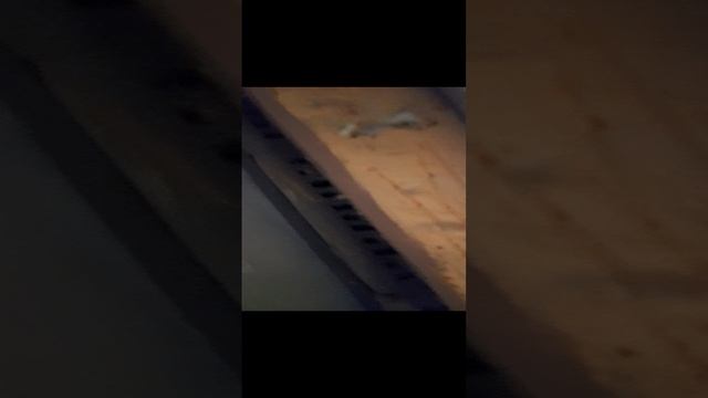 порог