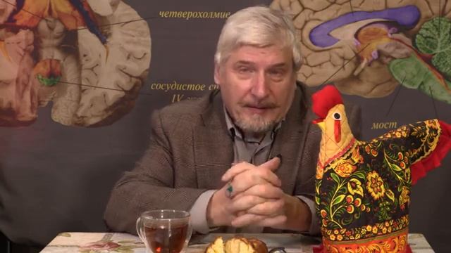 Профессор С. Савельев о мозге Е. Понасенкова