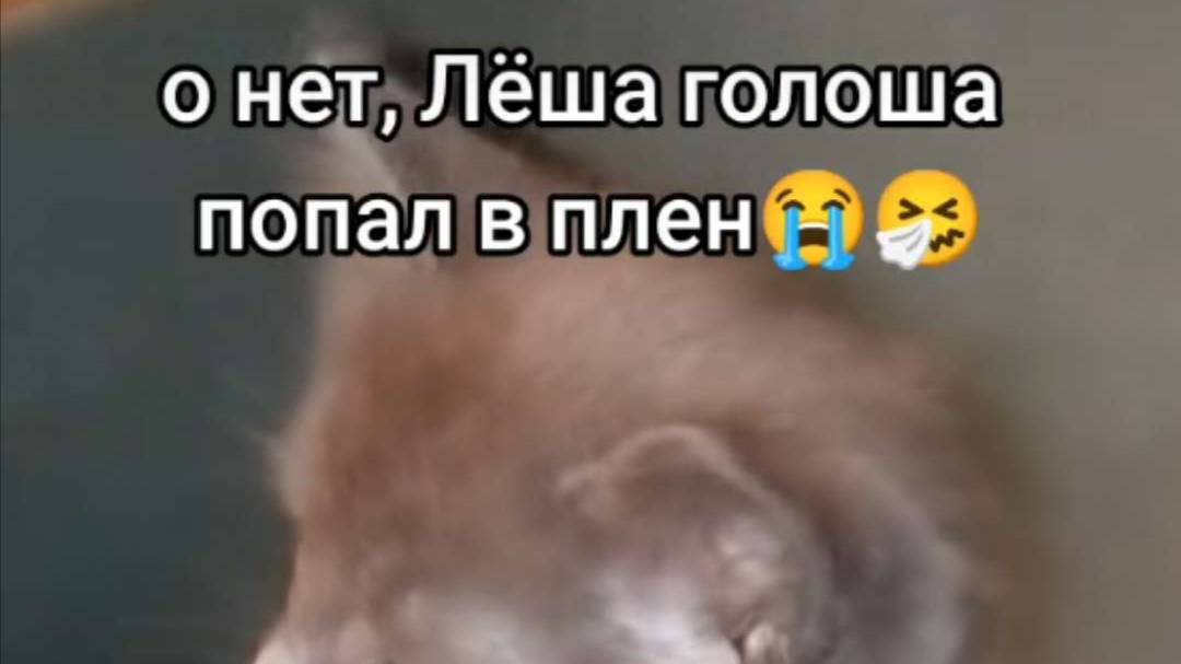 ыыыыы