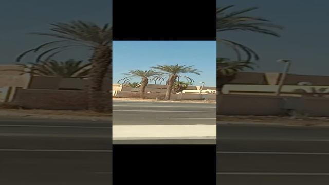 шарм эль шейх 2024