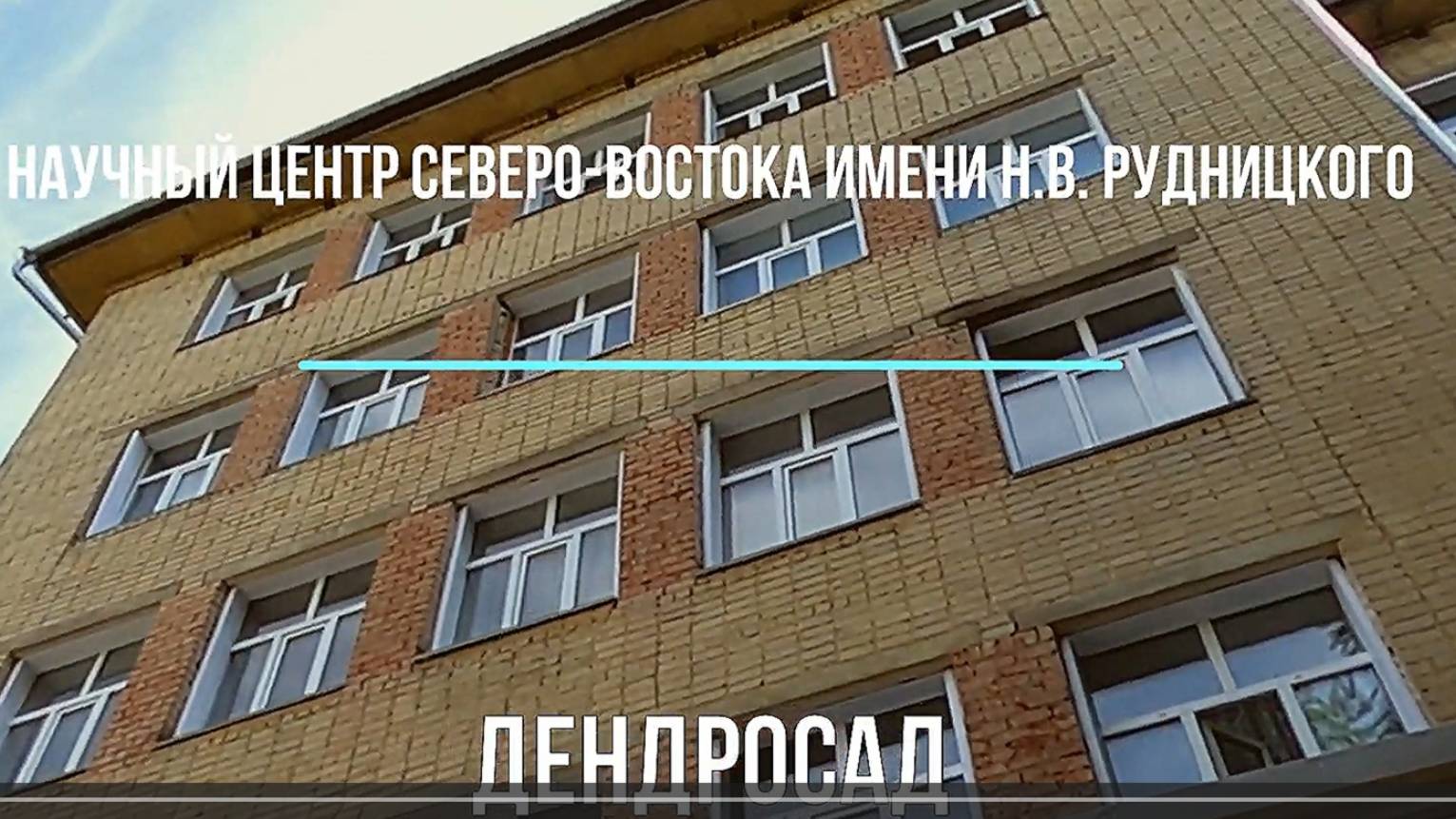 Губернская Вятка. Дендросад в Зональном научном центре им Рудницкого