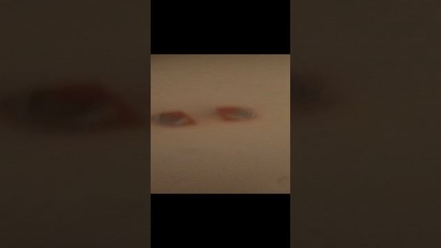 1000071851.mp4