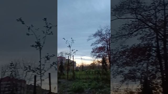 1000987344.mp4