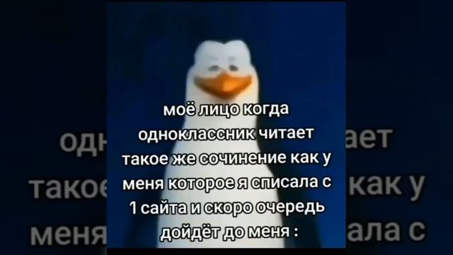 #пингвинсмемэ