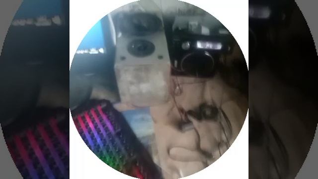 Бухал