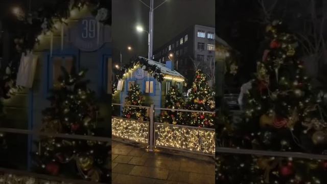 🎄Новогодняя атмосфера в Московском зоопарке🎄