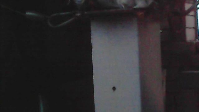 Звон к началу Божественной литургии 30 ноября 2024 - вторая часть: трезвон