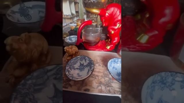 Чайный клуб Cactusstone