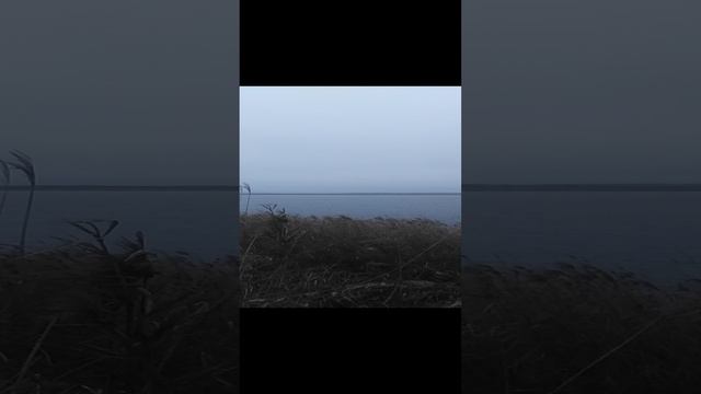 VID_20241130_131919.mp4