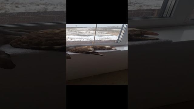 1000073715.mp4