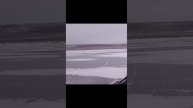 Труба, шарыпово, 30.11.2024