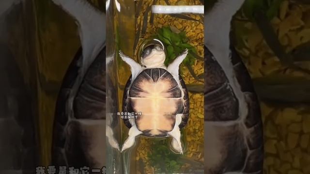 Как я сплю зная, что миллионы школьников сейчас ходят на уроки