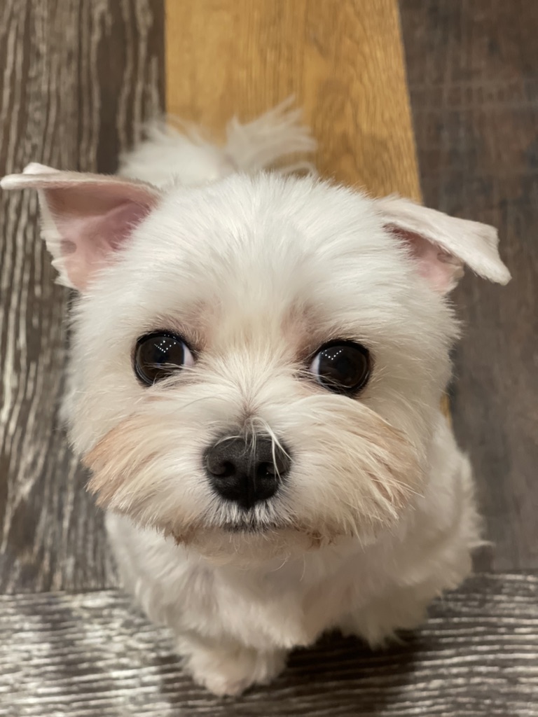 Мои подарки асмр