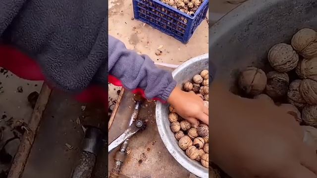 Неожиданные применения