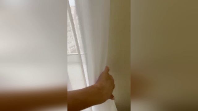 Эволюция одомашнивания кошечки Шанельки с нашей передержки 🙏🥰🥰👏