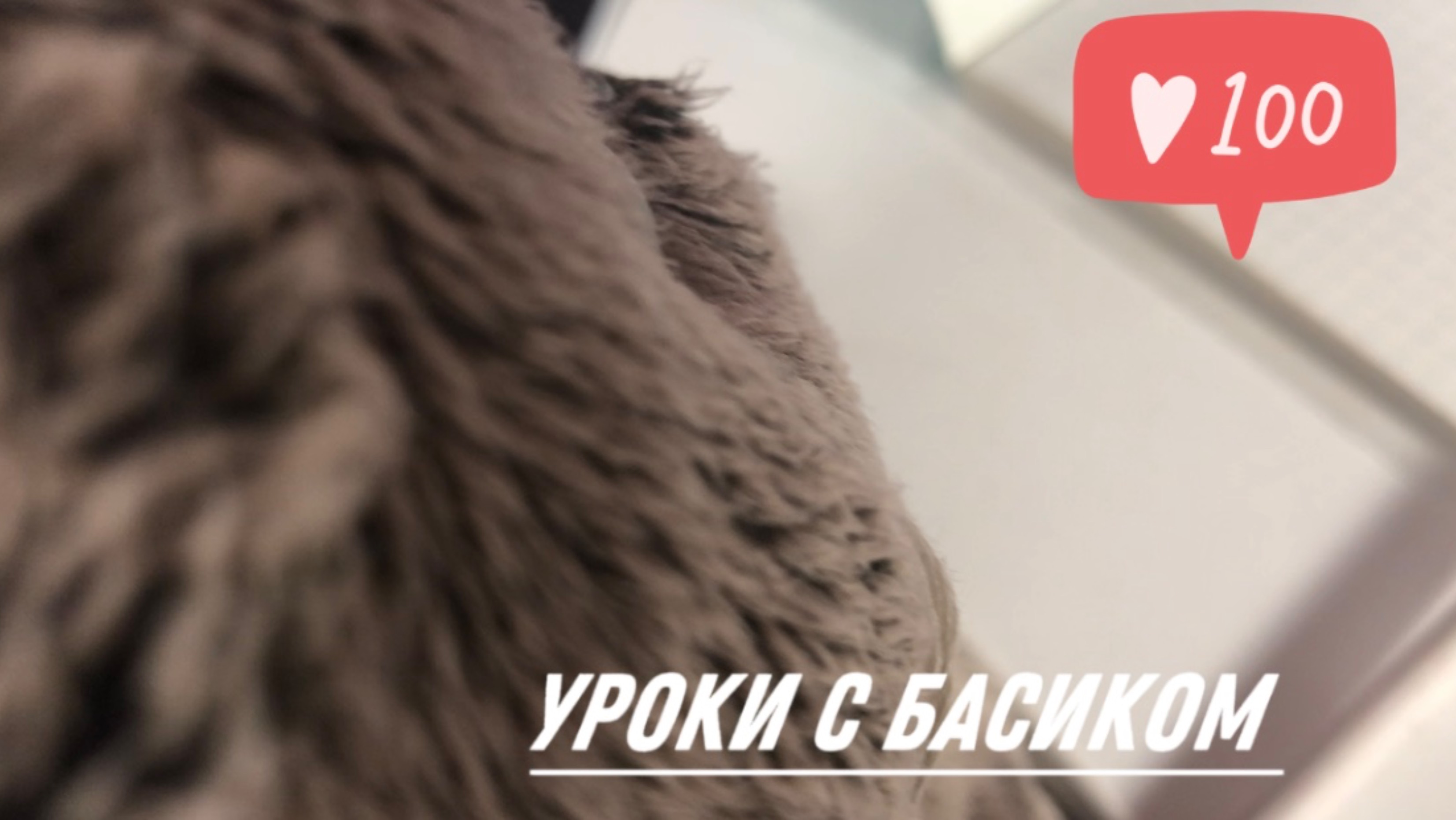 СБОРЫ С БАСИКОМ В ШКОЛУ| Собираем рюкзак в школу🎒