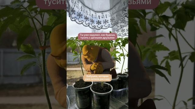 ЗИНЫ — собиратели историй