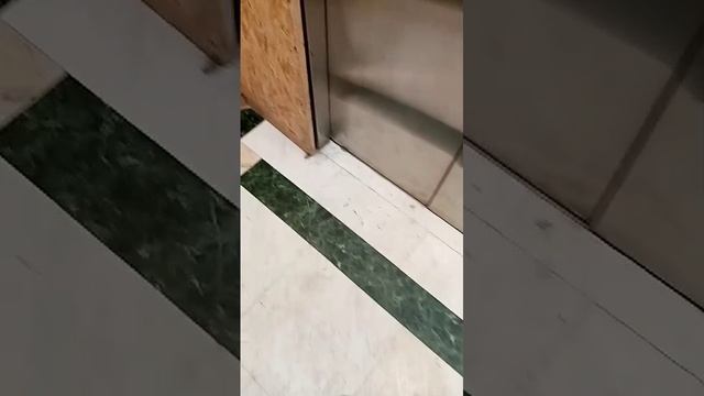 1000456822.mp4