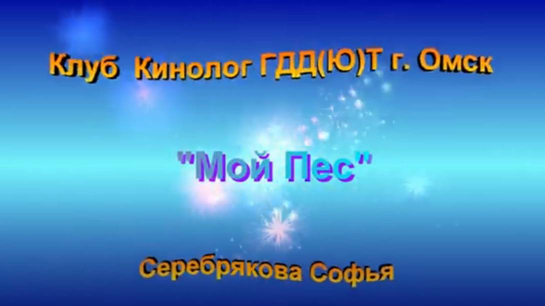 Конкурс презентаций любимых питомцев. Клуб "Кинолог" ГДД(Ю)Т Автор Серебрякова Софья