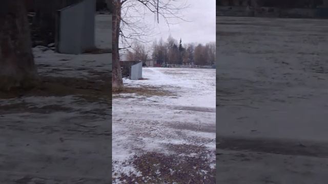 scene_output.mp4