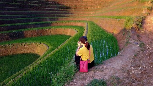 14116333-hd_1920_1080_30fps