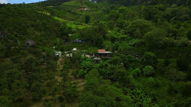 17328643-uhd_3840_2160_60fps