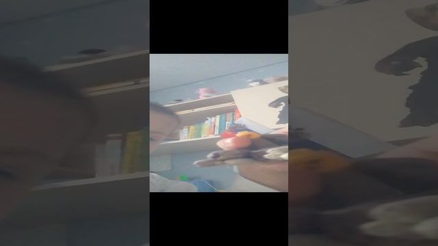 VID_20241130_162826.mp4