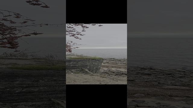 1000243641.mp4