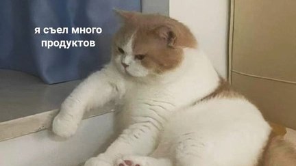 лекция