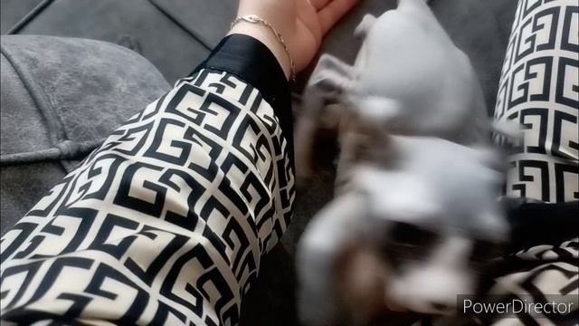 Купила детям небольшие подарочки/Покупки/Купон в подарок 🎁 Самочувствие Бони