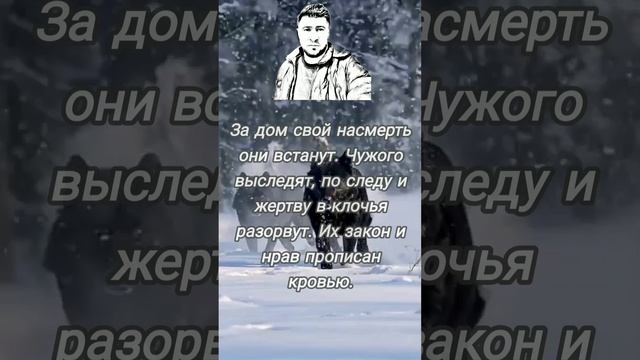 Волчий зов