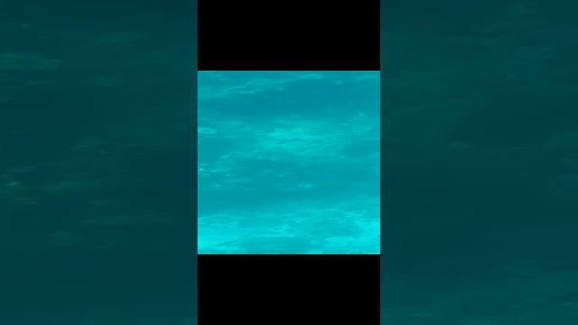 подводный мир Египта 2024