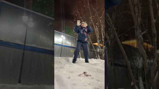 Ицюань / Кёкусинкай / Ченбао и Чентуо Чжуан / Чжанфа прямой / Сантин но ката с Киай (29.11.24)