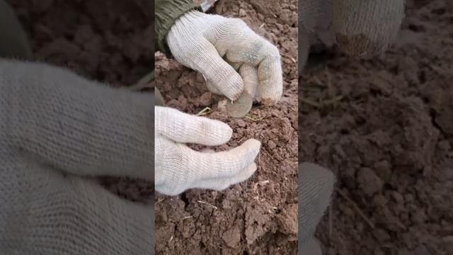 ВЫДУВАТЕЛЬ МОНЕТ