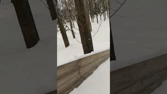 Катаемся с сыном на тюбинге! Весело!  Ride tubing with my son! Fun! Shorts