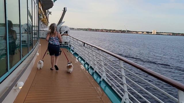 19345518-hd_1920_1080_60fps
