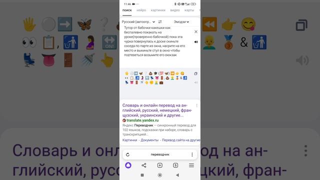 бабочка какешка
