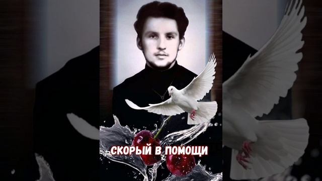 Скорый в помощи - из книги Владимира Карагодина "Новомученик Пëтр, Запорожский Чудотворец"