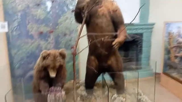 Музей городская дума Museum "City Duma"