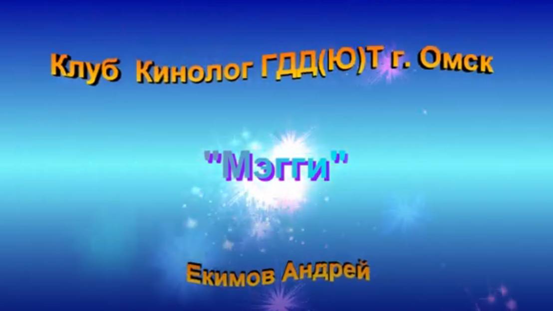 Конкурс презентаций любимых питомцев. Клуб "Кинолог" ГДД(Ю)Т Автор Екимов Андрей